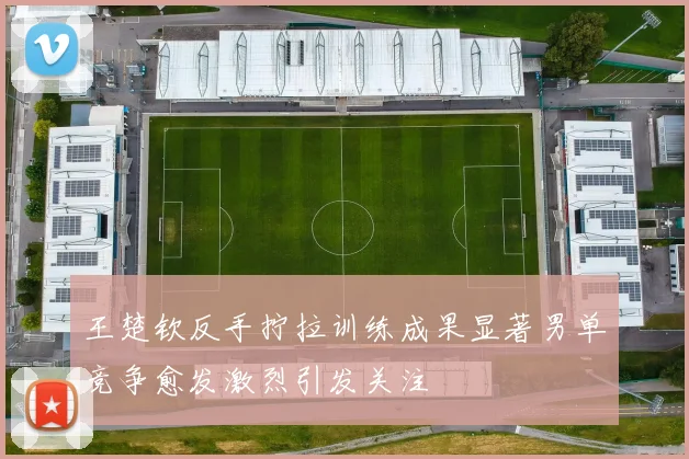 王楚钦反手拧拉训练成果显著男单竞争愈发激烈引发关注